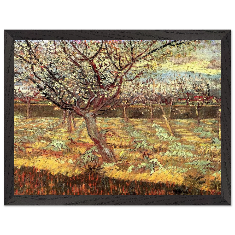 Apricot Trees in Blossom by Vincent van Gogh — Framed art print at Zephyeer
