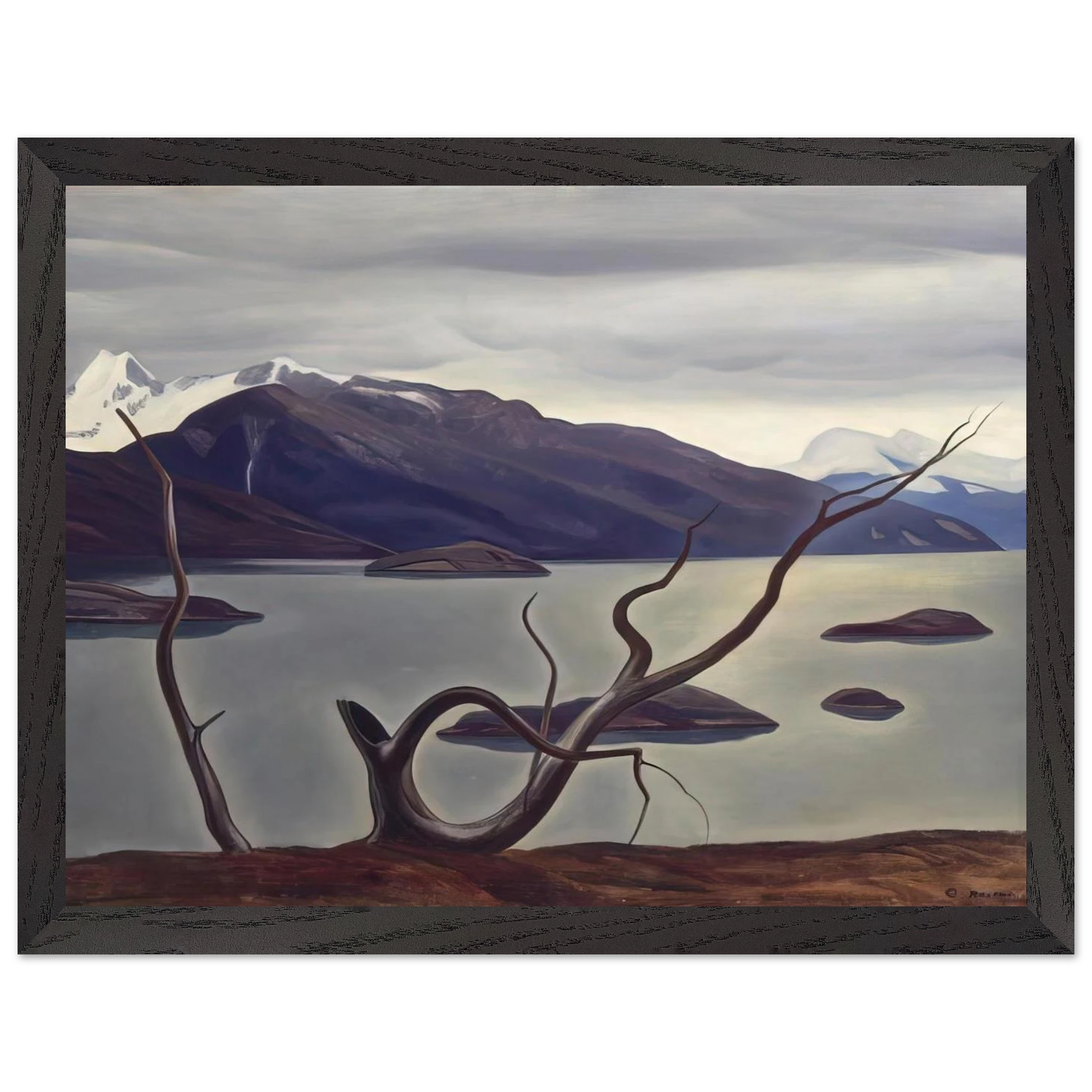 6a5024ba-7860-40e4-b4c2-34d776599f4d