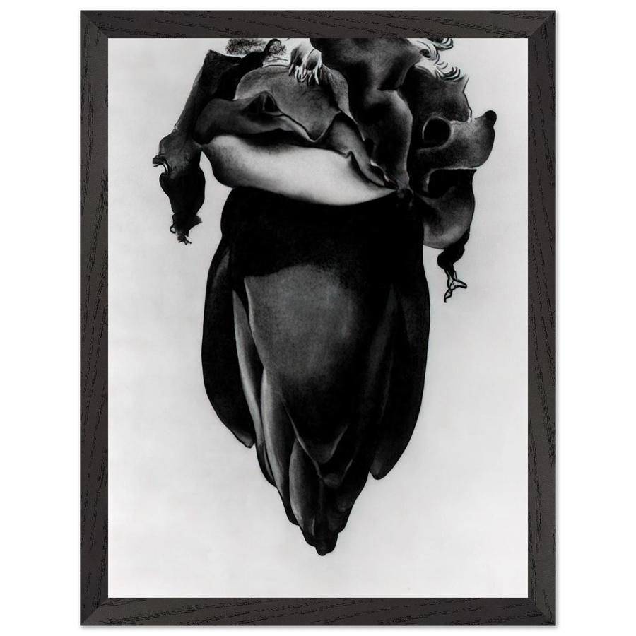 Banana Flower by Georgia O'Keeffe — Framed art print at Zephyeer