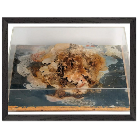 Small Island - 1968 by Dieter Roth — Framed art print at Zephyeer