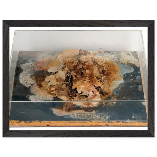 Small Island - 1968 by Dieter Roth — Framed art print at Zephyeer