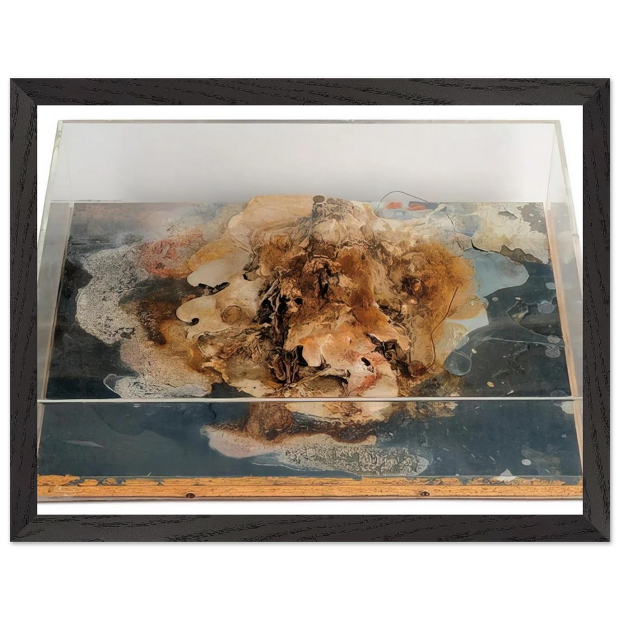 Small Island - 1968 by Dieter Roth — Framed art print at Zephyeer