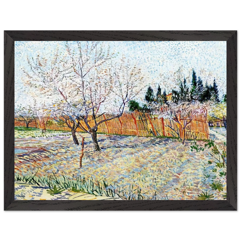 Orchard with Peach Trees in Blossom by Vincent van Gogh — Framed art print at Zephyeer