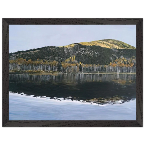 BEAVER DAM POND ACADIA NATIONAL PARK 2009 by Richard Estes — Framed art print at Zephyeer