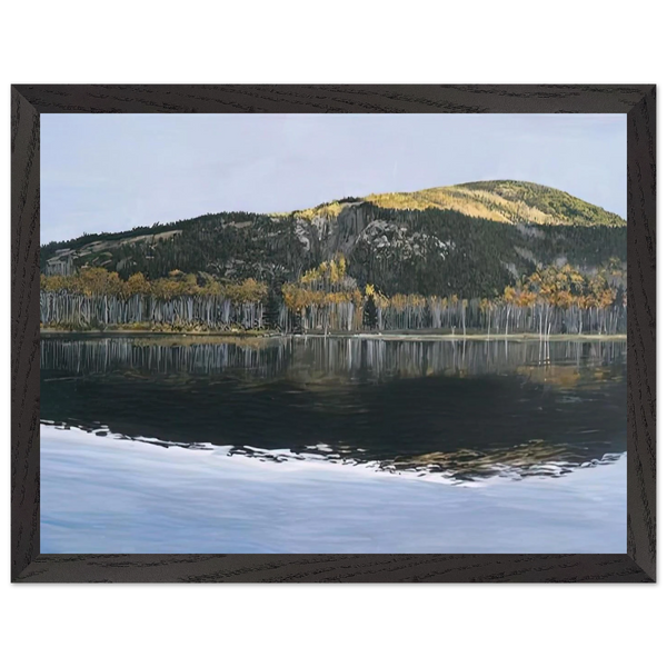 BEAVER DAM POND ACADIA NATIONAL PARK 2009 by Richard Estes — Framed art print at Zephyeer