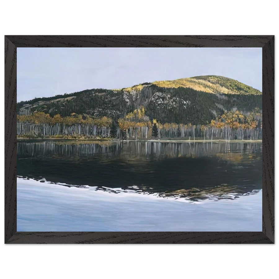 BEAVER DAM POND ACADIA NATIONAL PARK 2009 by Richard Estes — Framed art print at Zephyeer