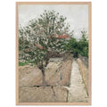 APPLE TREE IN BLOSSOM by Gustave Caillebotte — Framed art print at Zephyeer