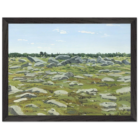 Study for Midday Barren - 1972 by Neil Welliver — Framed art print at Zephyeer