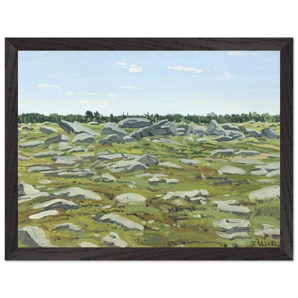 Study for Midday Barren - 1972 by Neil Welliver — Framed art print at Zephyeer