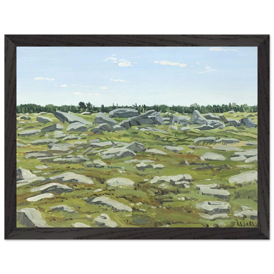 Study for Midday Barren - 1972 by Neil Welliver — Framed art print at Zephyeer