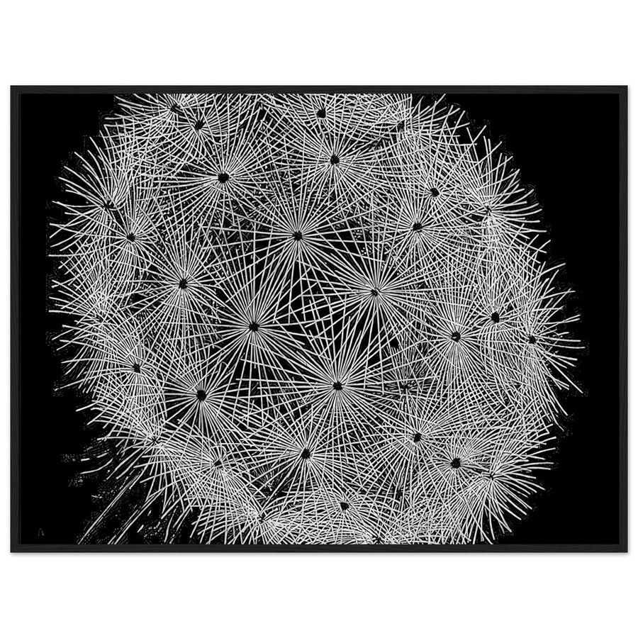 77d3c8ac-f3c2-4be3-8b63-9a4e30c96753