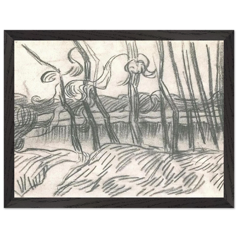 A Row of Bare Trees by Vincent van Gogh — Framed art print at Zephyeer