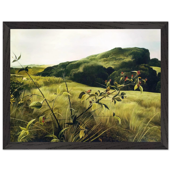 BLACKBERRY PICKER by Andrew Wyeth — Framed art print at Zephyeer