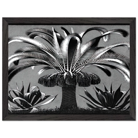 PALM by MC Escher — Framed art print at Zephyeer