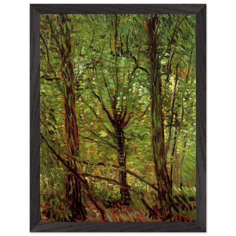 Trees and Undergrowth by Vincent van Gogh — Framed art print at Zephyeer