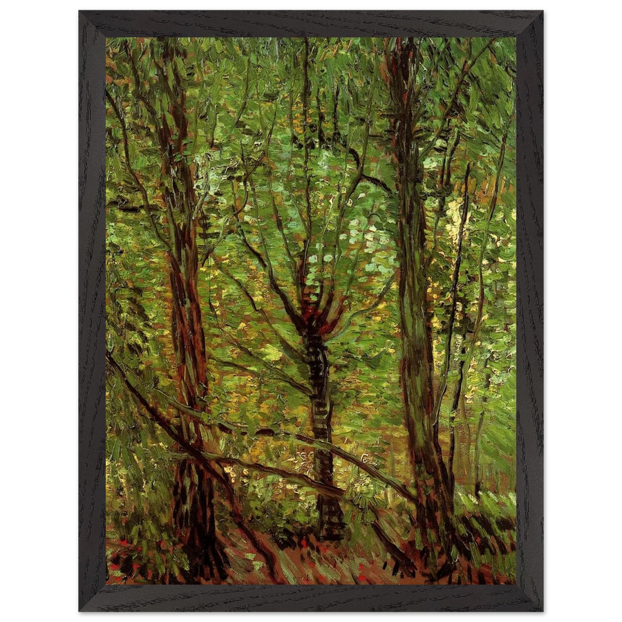 Trees and Undergrowth by Vincent van Gogh — Framed art print at Zephyeer