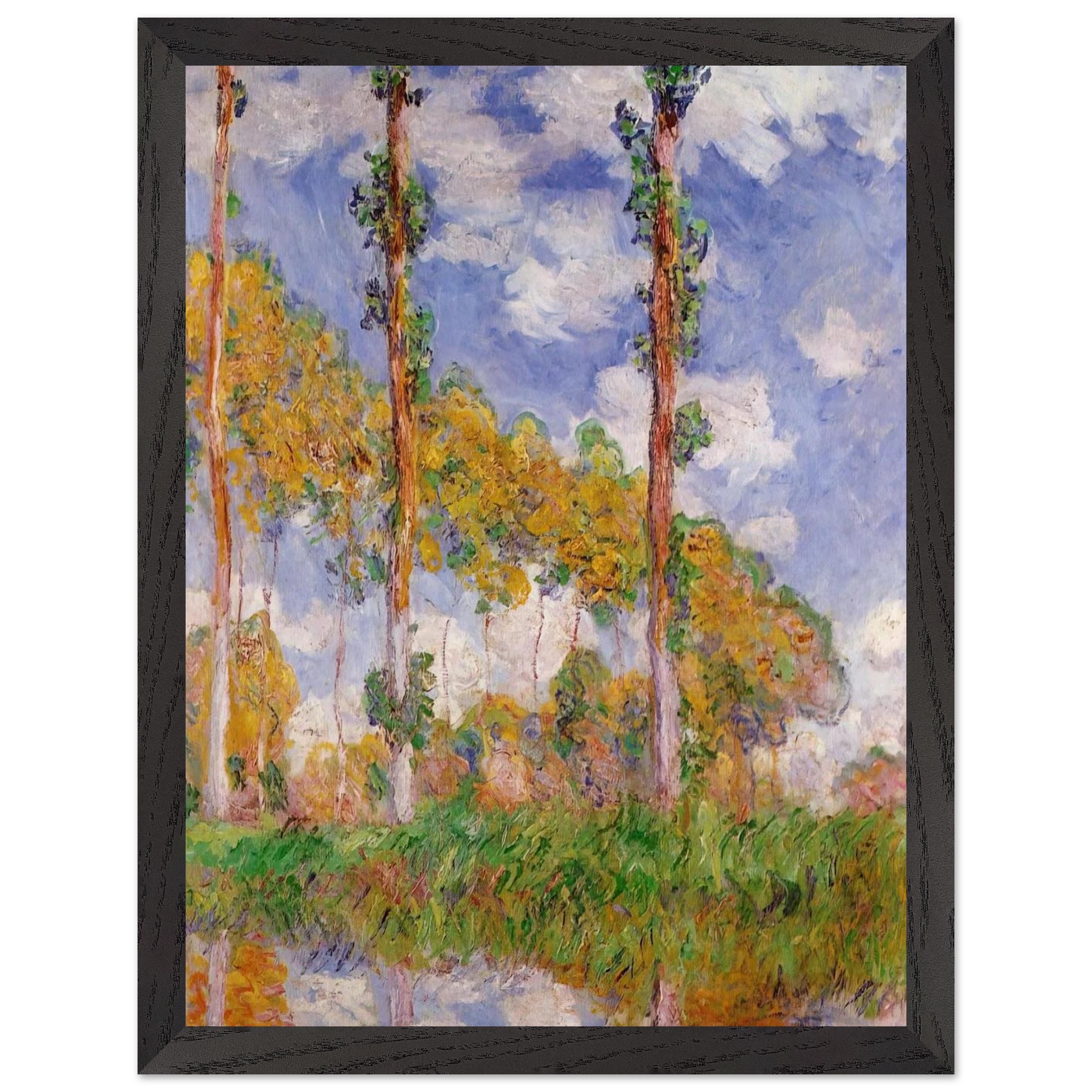 84433271-8e23-4523-b76d-457c06be5577