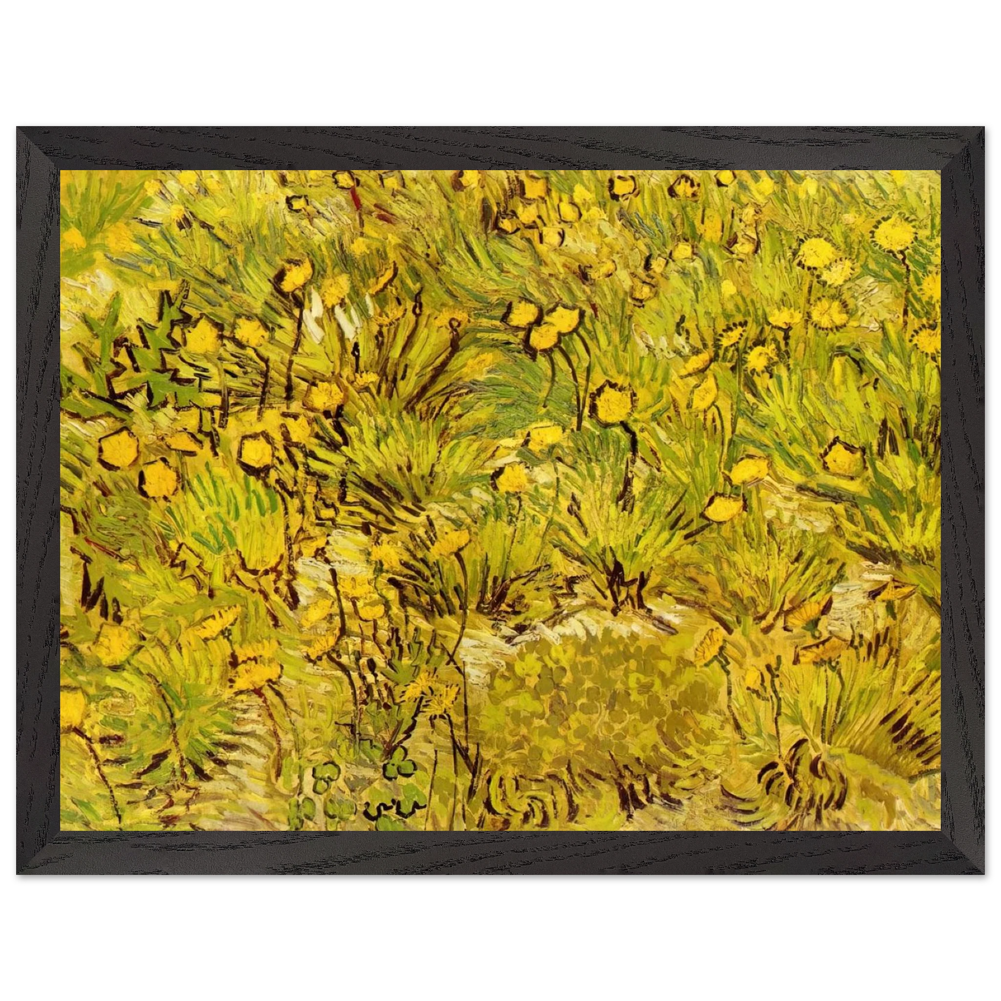 8496662b-eb63-46f8-9e8f-3bc425d77a49