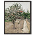 APPLE TREE IN BLOSSOM by Gustave Caillebotte — Framed art print at Zephyeer