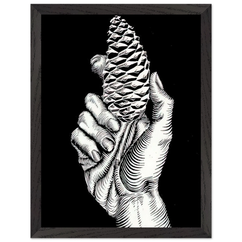 HAND WITH FIR CONE by MC Escher — Framed art print at Zephyeer