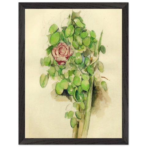 Rose Bush by Paul Cézanne — Framed art print at Zephyeer