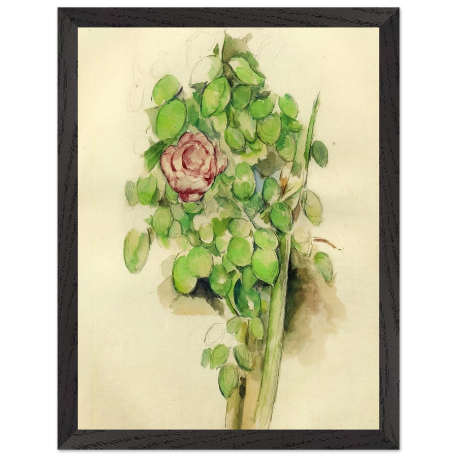 Rose Bush by Paul Cézanne — Framed art print at Zephyeer