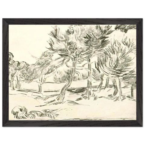 A Group of Pine Trees by Vincent van Gogh — Framed art print at Zephyeer