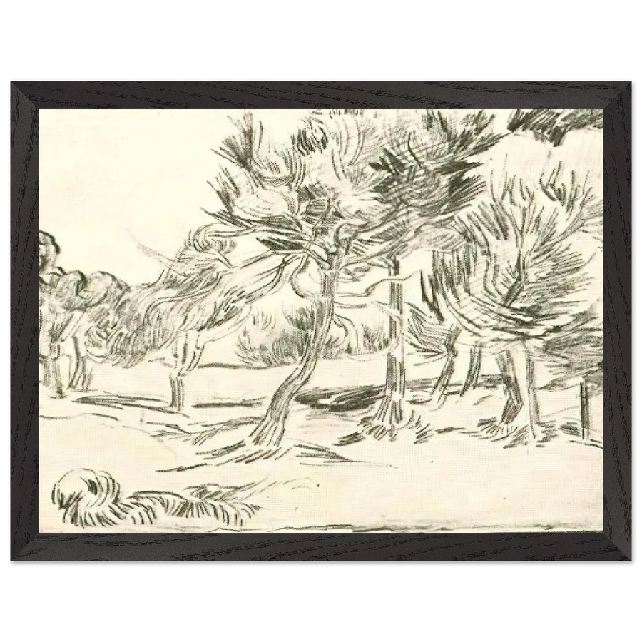 A Group of Pine Trees by Vincent van Gogh — Framed art print at Zephyeer