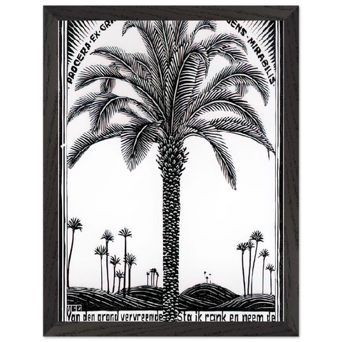 PALM TREE 1 by MC Escher — Framed art print at Zephyeer