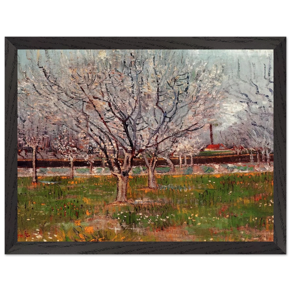 8e27fed1-e844-452b-ab3c-6851e1e9ffa6