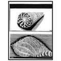 8f860820-bb9d-4e07-8f28-b41430e4008f