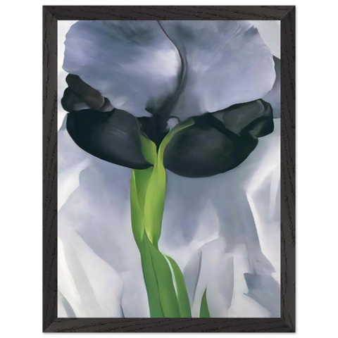 Iris 7 by Georgia O'Keeffe — Framed art print at Zephyeer