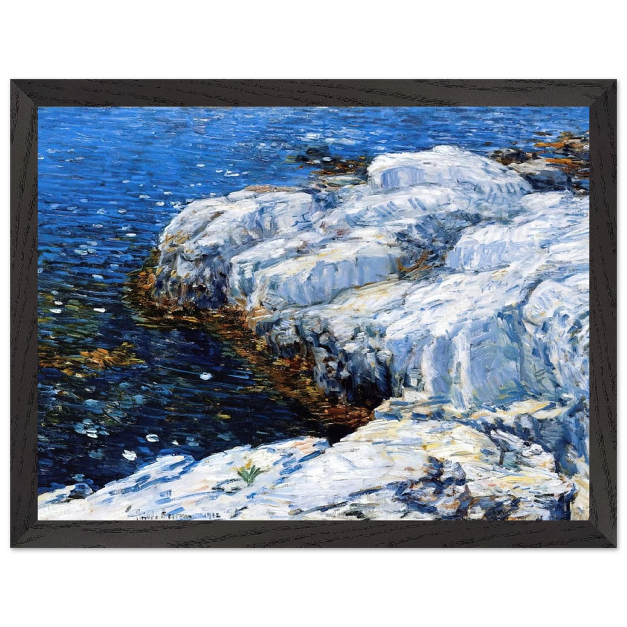 Jelly Fish by Childe Hassam — Framed art print at Zephyeer