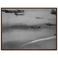 986ff46f-992d-4a45-8242-ed53de491deb