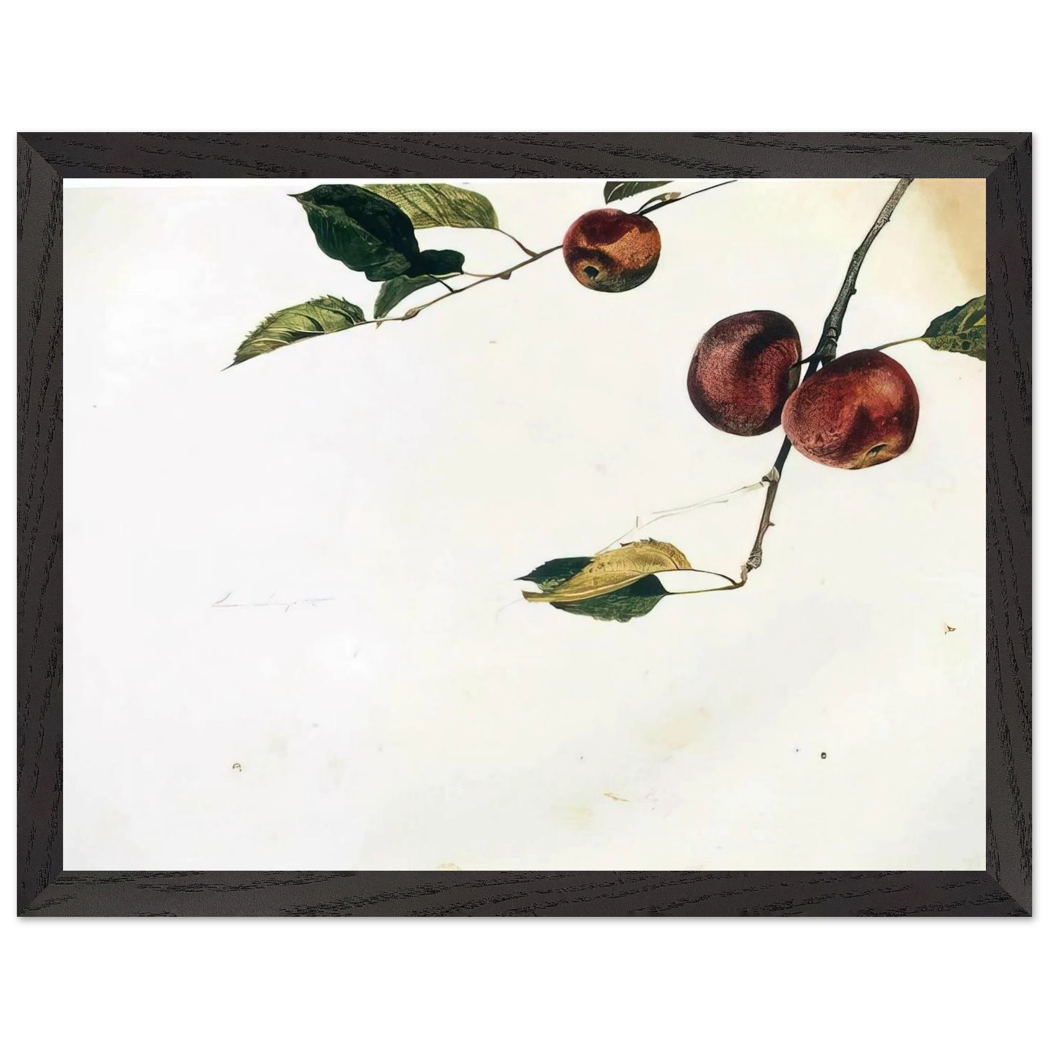 98e32079-cfb2-476f-bcbb-f02b4c946b44