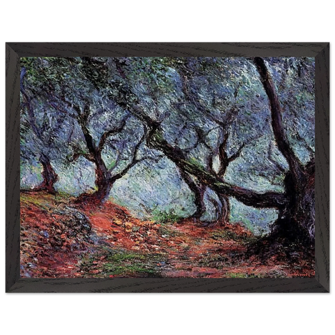 Grove of Olive Trees in Bordighera by Claude Monet — Framed art print at Zephyeer