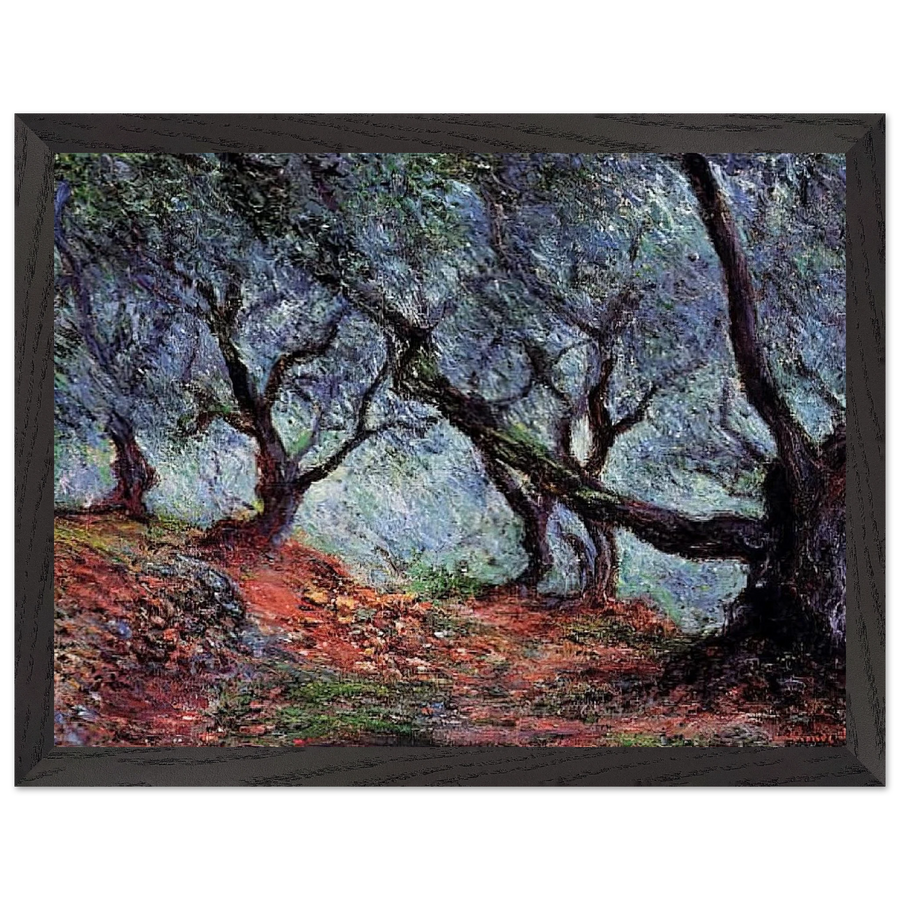 Grove of Olive Trees in Bordighera by Claude Monet — Framed art print at Zephyeer