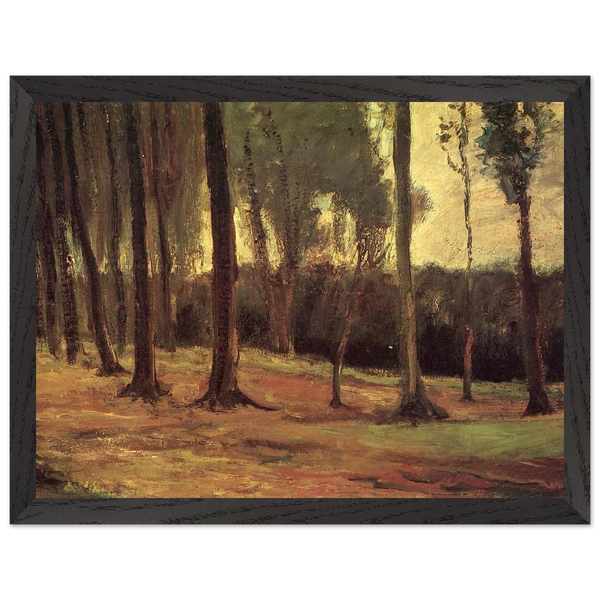 9aa1b9c8-a5a0-4329-9f8e-8a168e28ce28