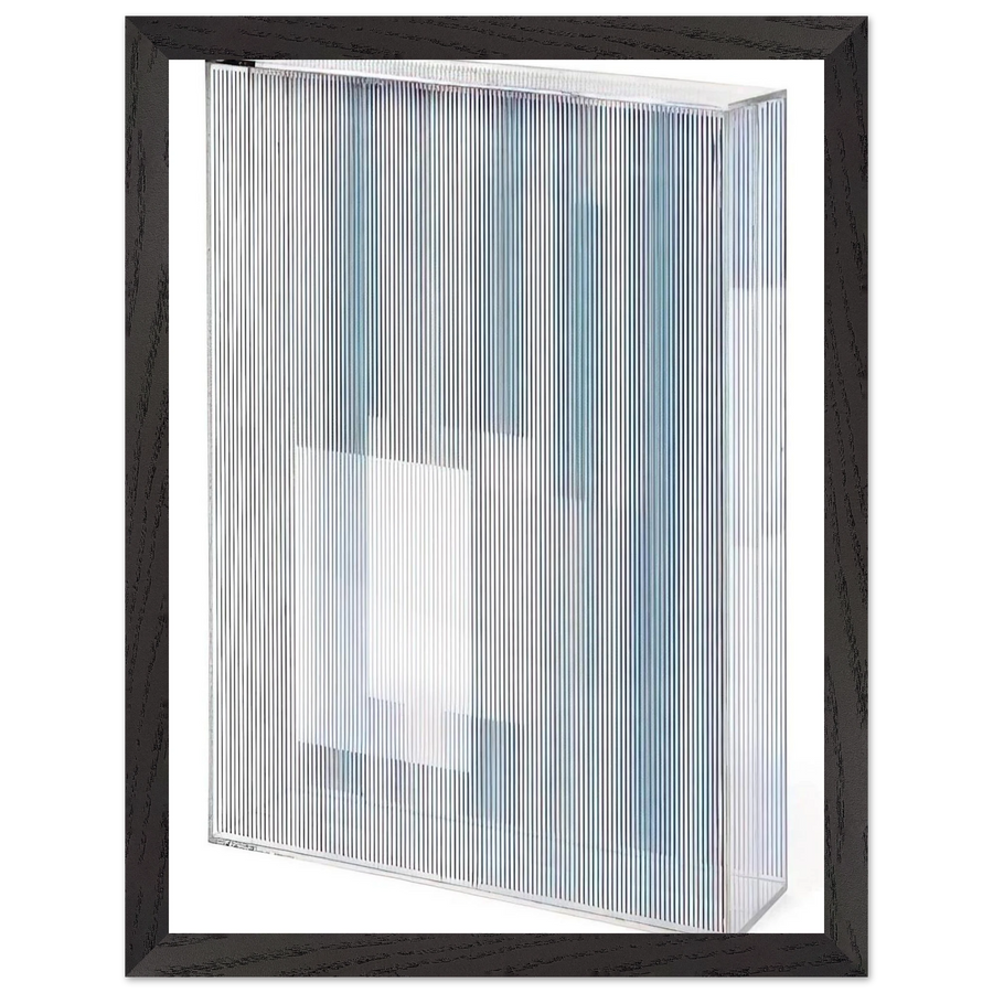 LA BOITE 1967 by Jesus Rafael Soto — Framed art print at Zephyeer