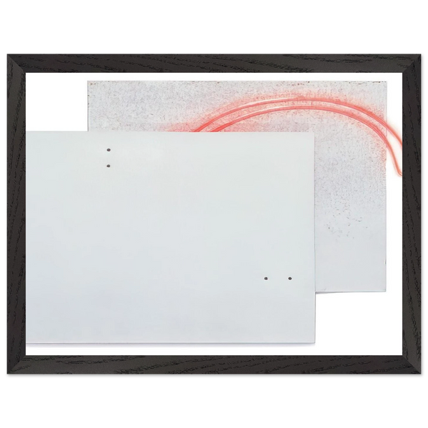 Guará's Eye - White - 1984 by Lygia Pape — Framed art print at Zephyeer
