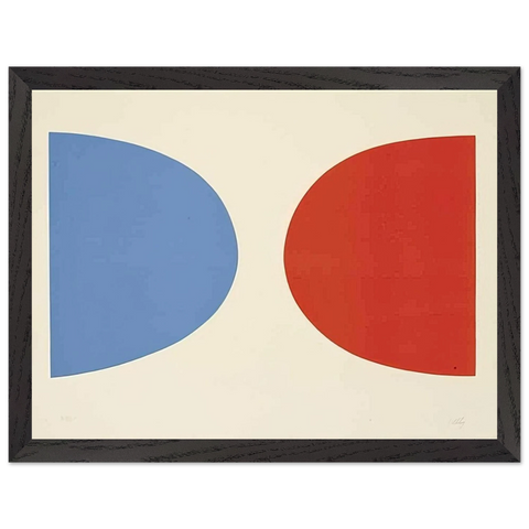 Blue and Orange by Ellsworth Kelly — Framed art print at Zephyeer