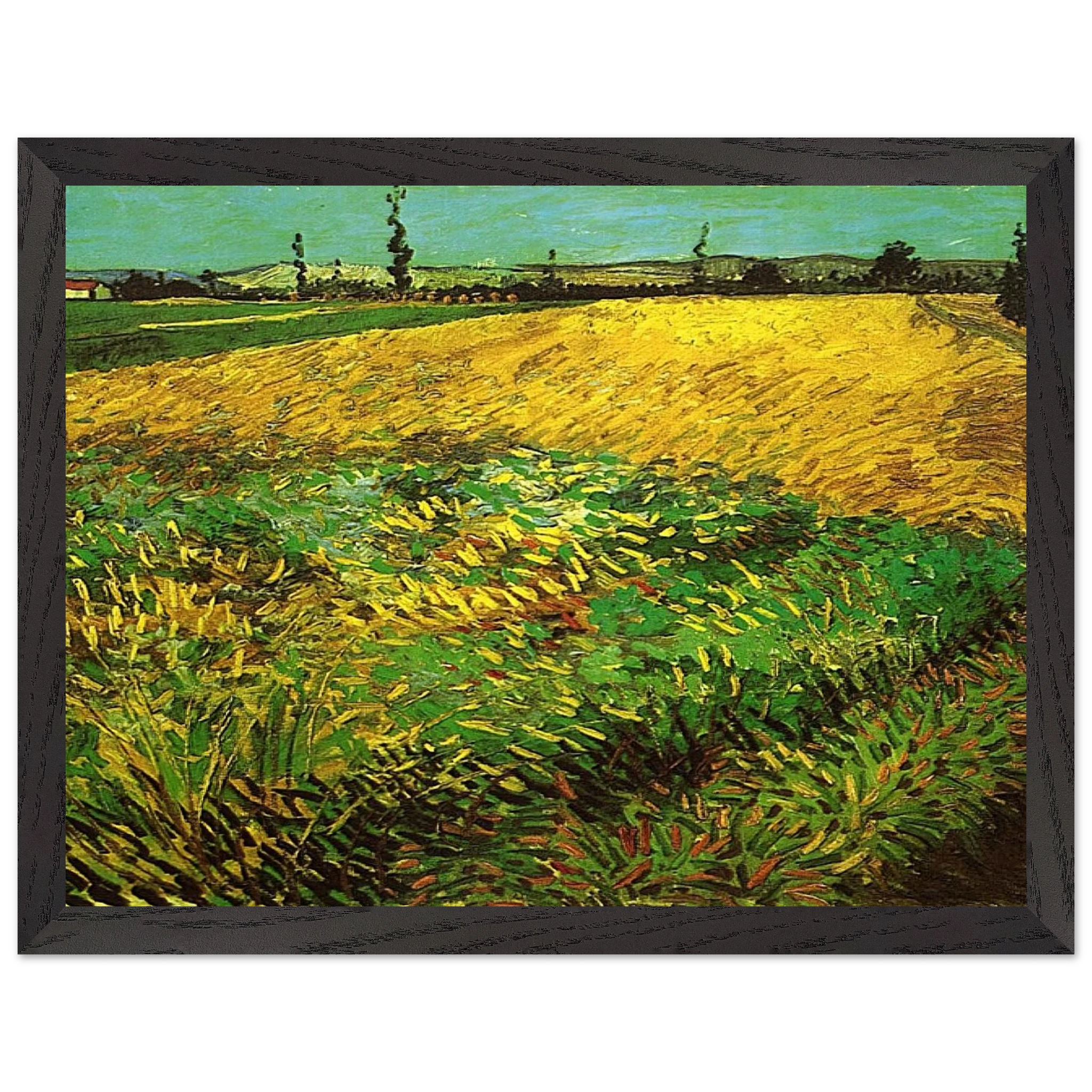 a2b95481-00a3-4cf9-9bc1-3610e4434a3a