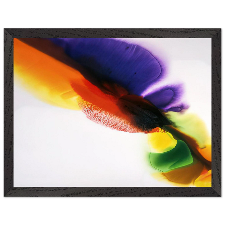 Phenomena Tibetan Flange by Paul Jenkins — Framed art print at Zephyeer