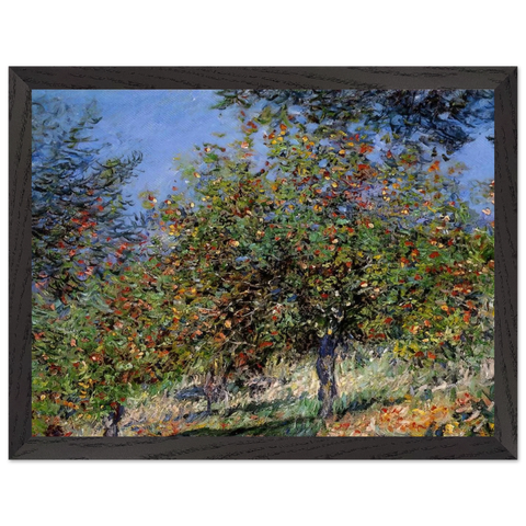 Apple Trees on the Chantemesle Hill by Claude Monet — Framed art print at Zephyeer