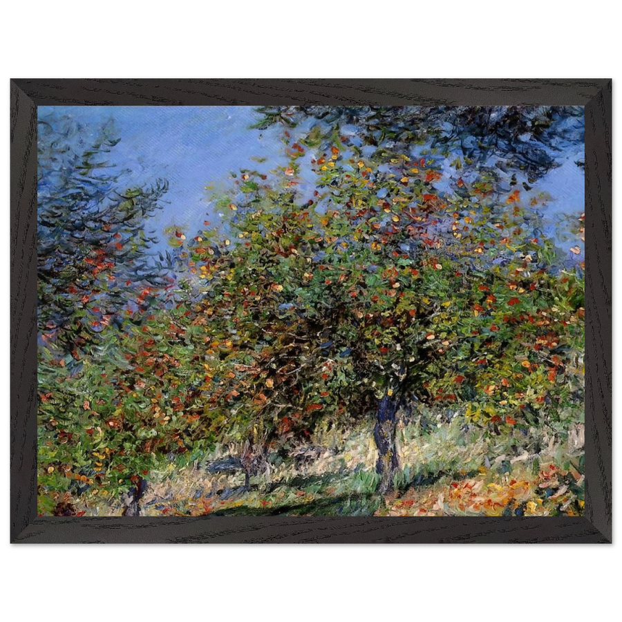 Apple Trees on the Chantemesle Hill by Claude Monet — Framed art print at Zephyeer