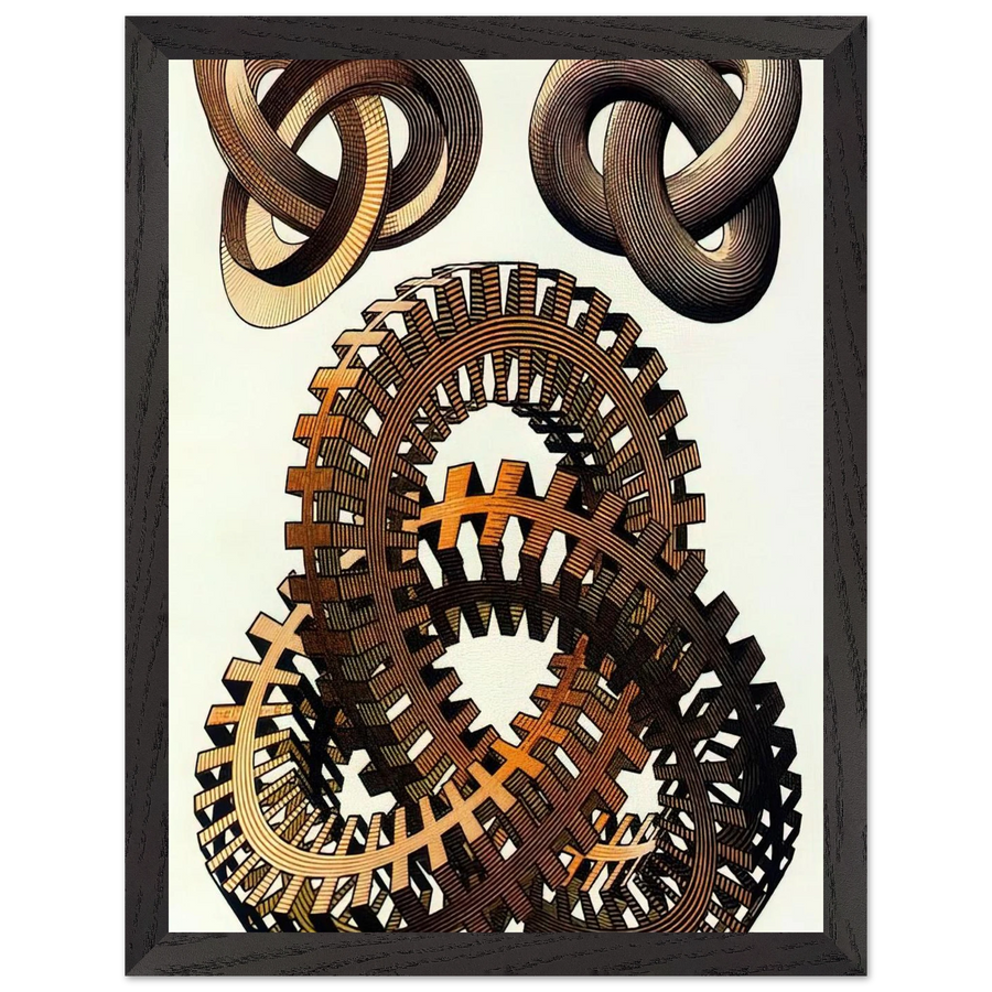 KNOTS COLOUR by MC Escher — Framed art print at Zephyeer