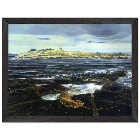 LITTLE CALDWELLS ISLAND by Andrew Wyeth — Framed art print at Zephyeer