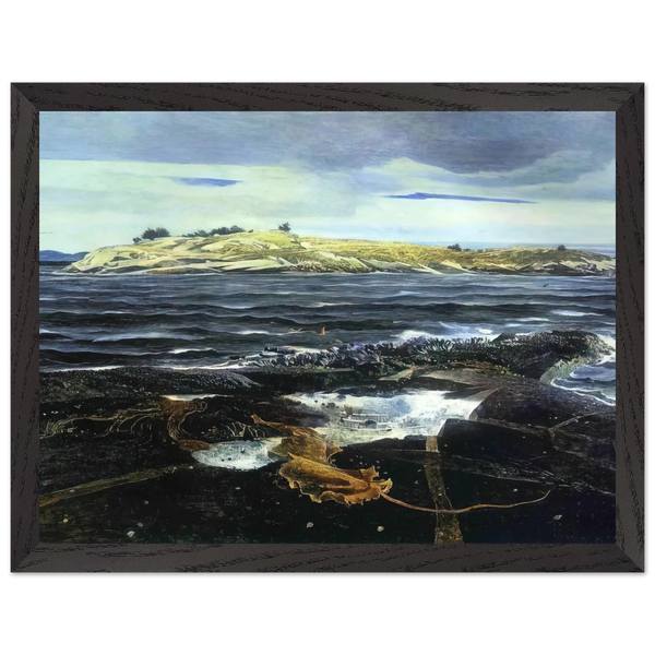 LITTLE CALDWELLS ISLAND by Andrew Wyeth — Framed art print at Zephyeer