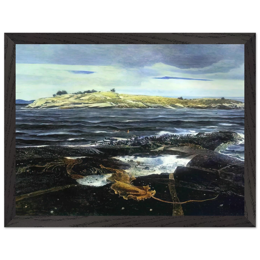 LITTLE CALDWELLS ISLAND by Andrew Wyeth — Framed art print at Zephyeer