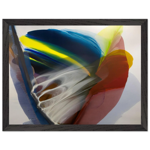 Wanderland Express - 1976 by Paul Jenkins — Framed art print at Zephyeer